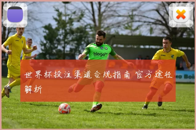 世界杯投注渠道合规指南 官方途径解析