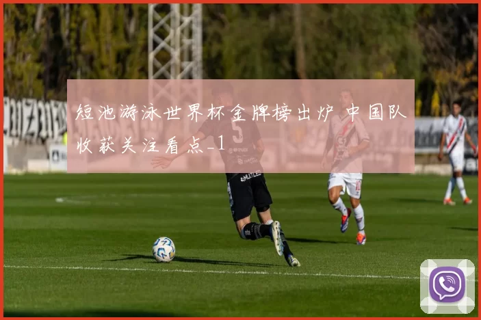 短池游泳世界杯金牌榜出炉 中国队收获关注看点_1