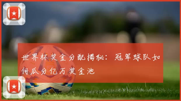 世界杯奖金分配揭秘:冠军球队如何瓜分亿万奖金池