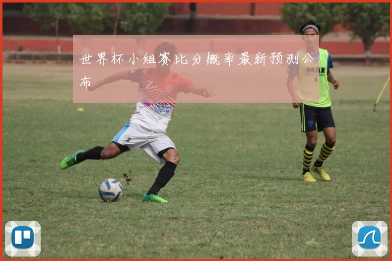 世界杯小组赛比分概率最新预测公布