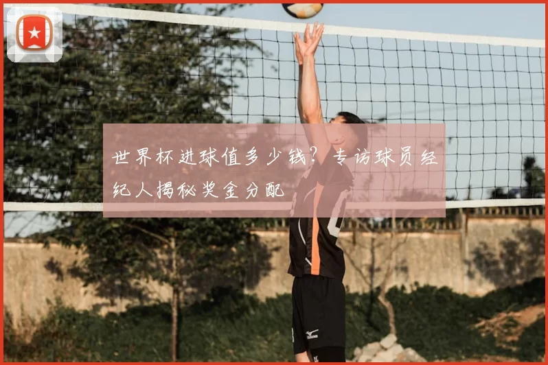 世界杯进球值多少钱？专访球员经纪人揭秘奖金分配
