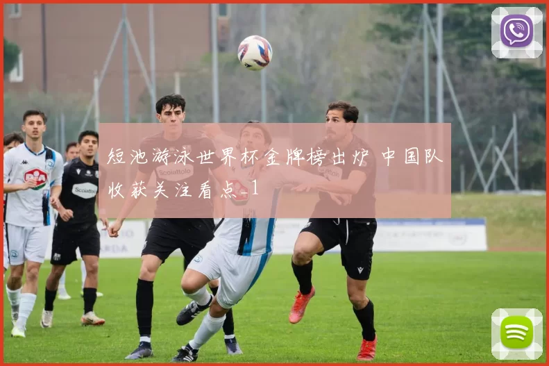 短池游泳世界杯金牌榜出炉 中国队收获关注看点_1