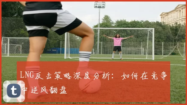 LNG反击策略深度分析:如何在竞争中逆风翻盘