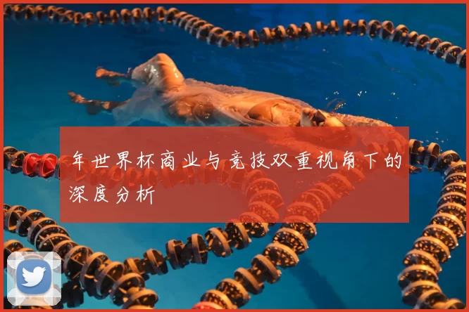 年世界杯商业与竞技双重视角下的深度分析