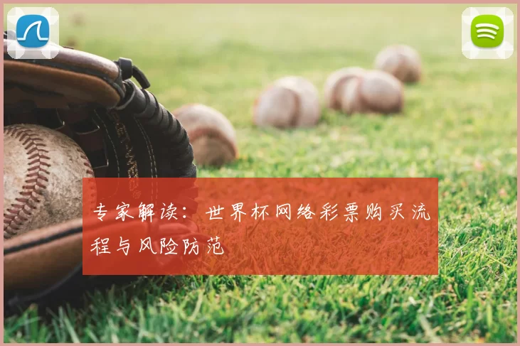 专家解读:世界杯网络彩票购买流程与风险防范