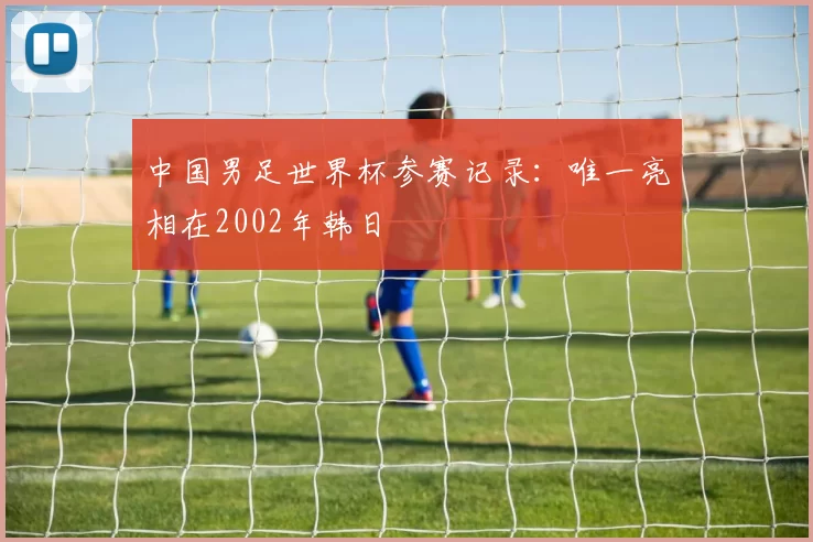 中国男足世界杯参赛记录：唯一亮相在2002年韩日