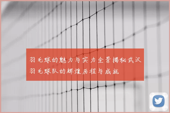 羽毛球的魅力与实力全景揭秘武汉羽毛球队的辉煌历程与成就