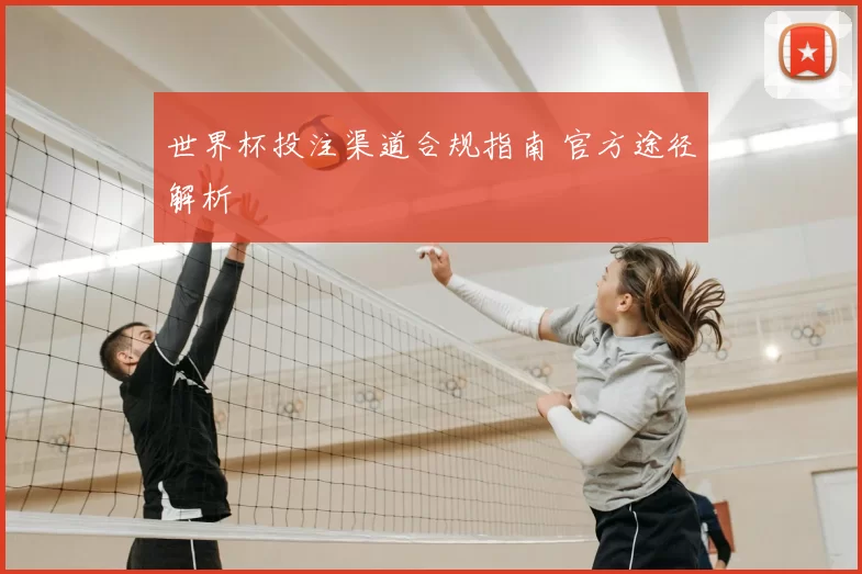 世界杯投注渠道合规指南 官方途径解析