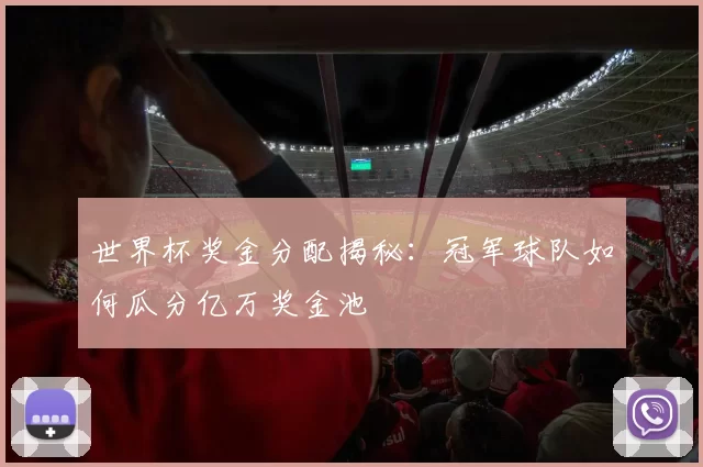 世界杯奖金分配揭秘:冠军球队如何瓜分亿万奖金池